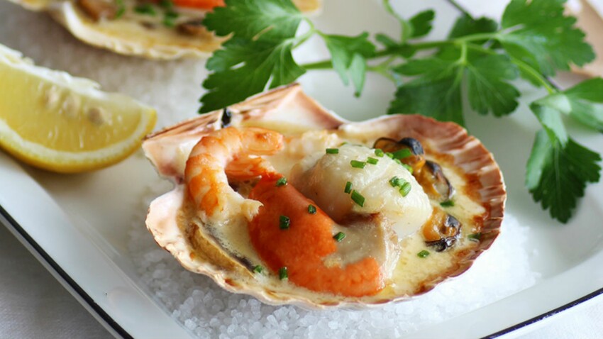 coquille saint jacques